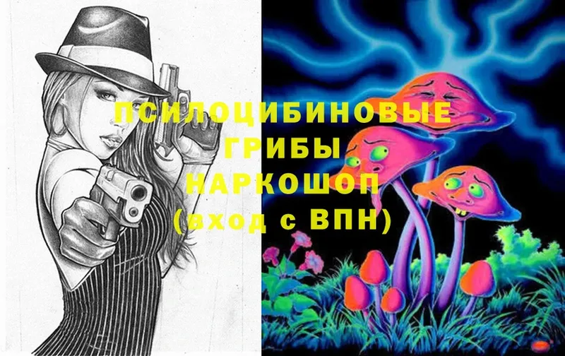 Галлюциногенные грибы Magic Shrooms  Лобня 