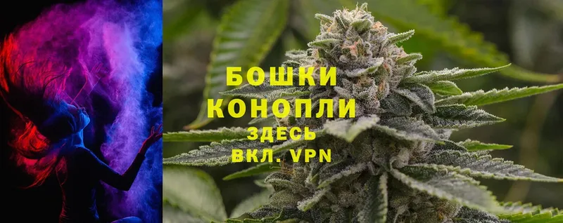 Бошки Шишки White Widow  Лобня 